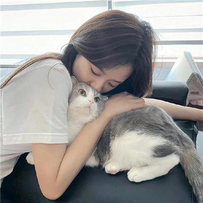 睡觉的顽皮豹